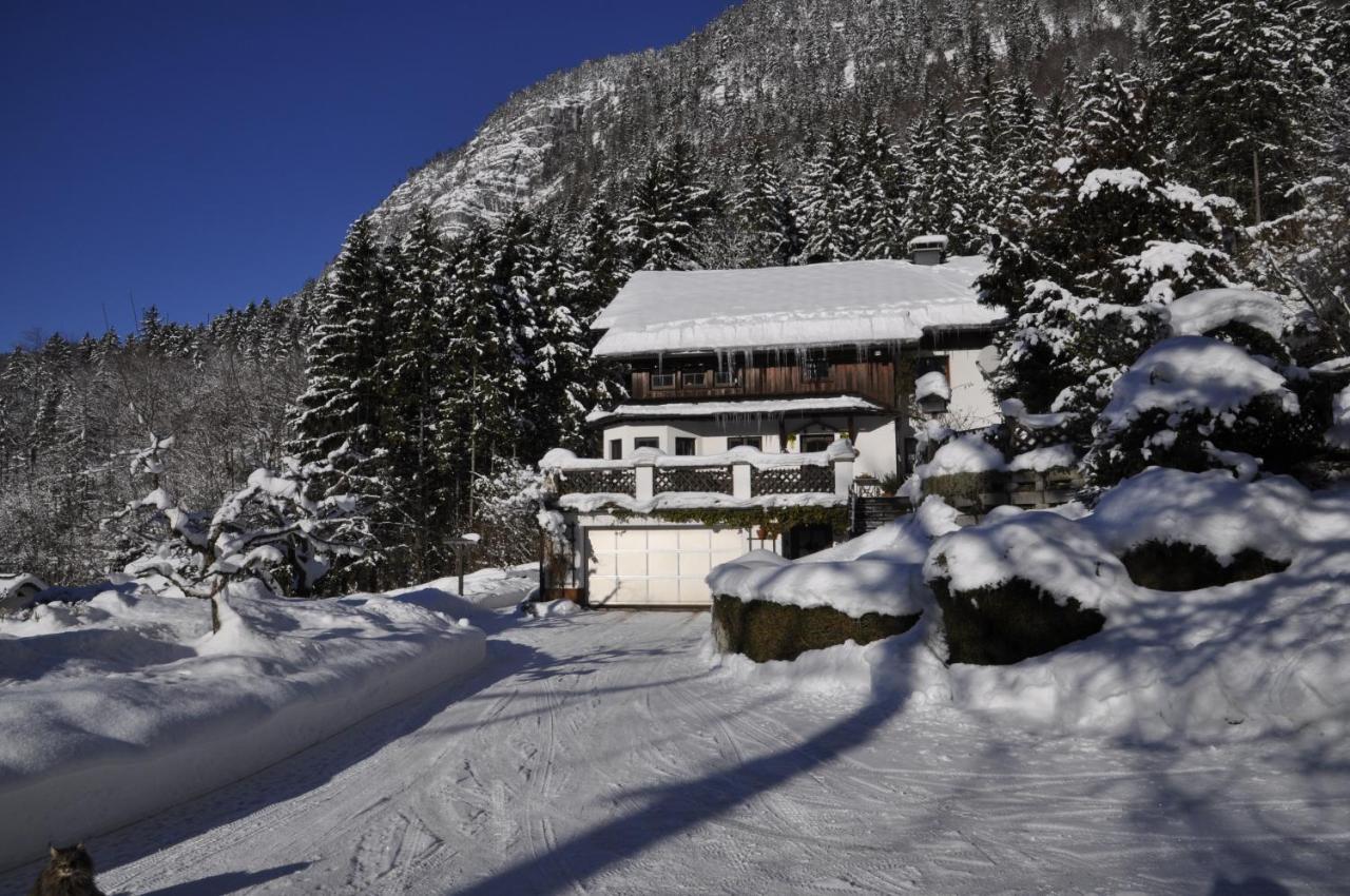Apartment Stadler Obertraun Dış mekan fotoğraf